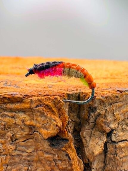 Gammarus czech nymph