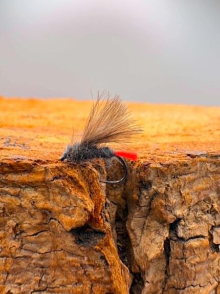 F Fly with red tag