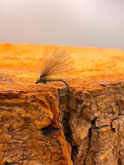 quill olive cdc f fly