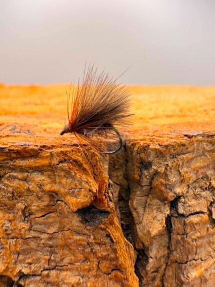 milan's dry
