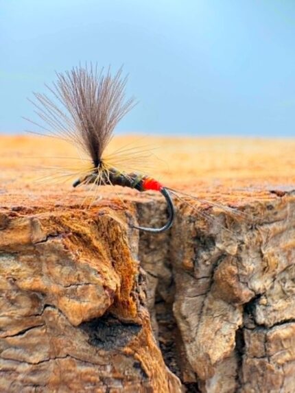 sandro's dry fly 2