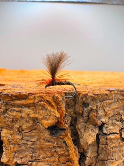 soldarini dry fly 1