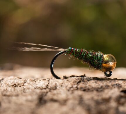 black goldhead flashback nymph