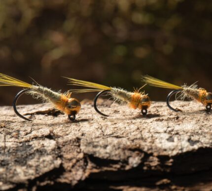 gold bead olive nymph