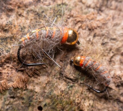 pixie fly