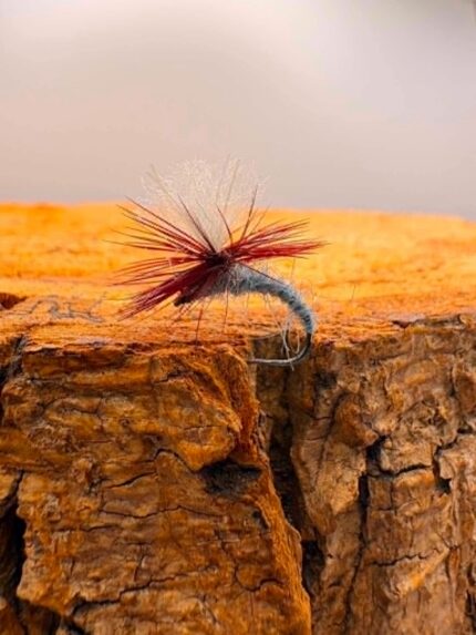 grey klinkhammer dry fly
