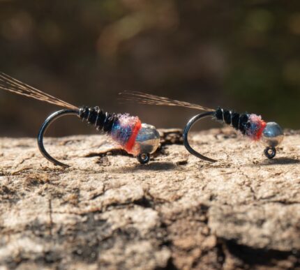 lewis's black and violet pheasant tail