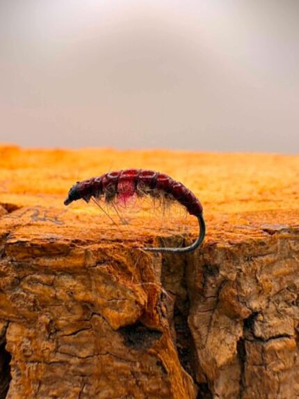 czech nymph hot spot