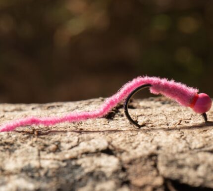 pink head squirmy jig